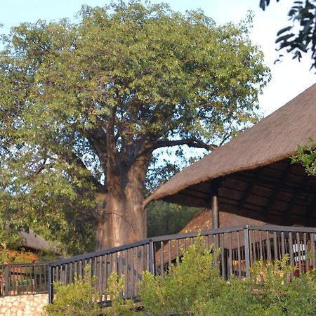 Adansonia Eco Lodge Musina Exterior photo