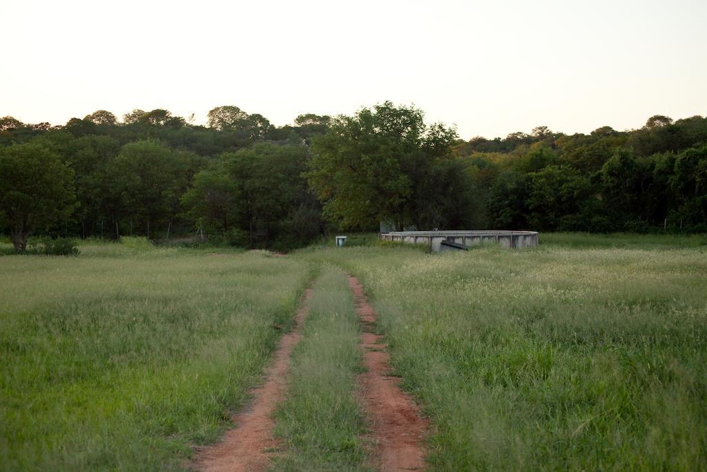 Adansonia Eco Lodge Musina Exterior photo