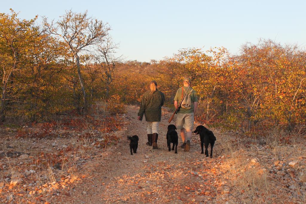 Adansonia Eco Lodge Musina Exterior photo
