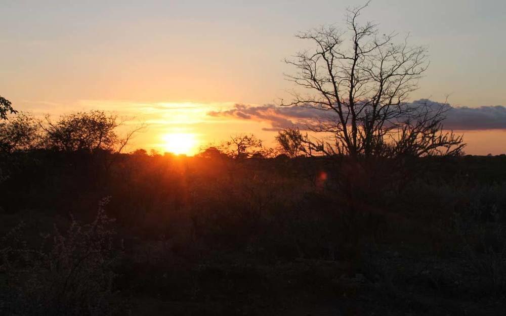 Adansonia Eco Lodge Musina Exterior photo