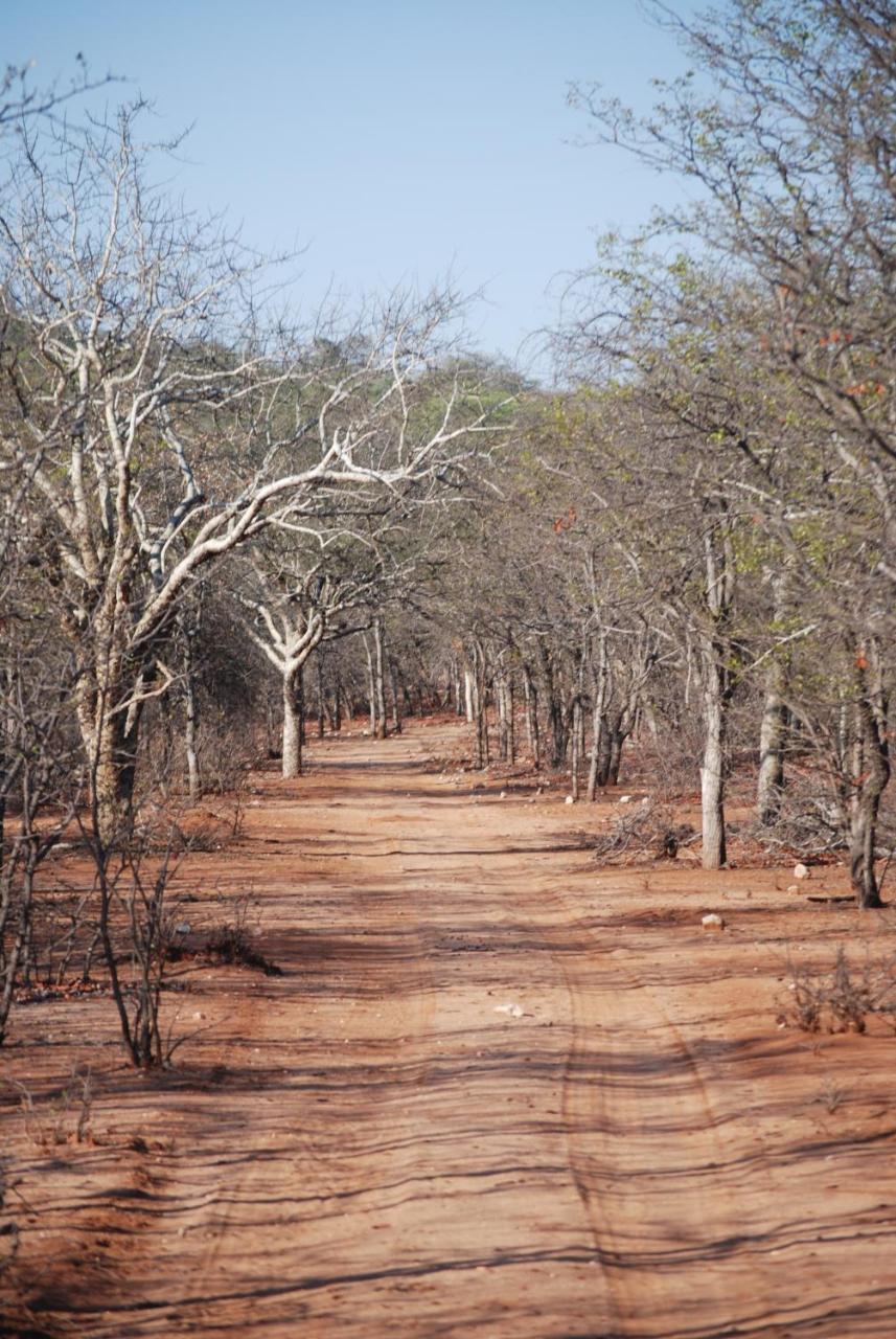 Adansonia Eco Lodge Musina Exterior photo